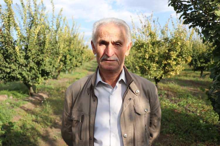 <p><span style="color:#A52A2A"><strong>DON FİYATLARTI ETKİLEDİ</strong></span></p>

<p> </p>

<p>Pamukova Ziraat Odası Başkanı Yaşar Ulukaya, şunları söyledi: </p>

<p> </p>

<p><strong>"Bu sene doğal afetlerden dolayı maalesef ayva, üzüm, şeftali genel olarak meyvede Pamukova ve Geyve ovasında hiçbir şey yok. Şu anda ayva tarlalarında hasat ve toplama yapılmadı. Eve misafir geldiğinde ikram edecek bir tane ayvamız yok. Ayvada hemen hemen Türkiye’nin yüzde 60’ını Sakarya, Sakarya’nın tamamını Geyve ve Pamukova yetiştirmekte ama şu anda ihracat durumu da yok. Bizim bölgemiz küçük bir Çukurova ama bu sene meyve bakımında en fakir yer oldu. Geçen yıl 40-45 ton civarında bir rekoltemiz vardı bu sene zirai dondan etkilendiği için maalesef hiç yok. Şu anda ayvanın fiyatın çok fark var. Manavlarda veya marketlerdeki tezgahlarda 150 lira bandında fiyatlar görüyorum. Her sene 30-35 lira olan ayva bu sene tezgahlarda çok yüksek fiyatlarda satılıyor. Diğer illerden aldığımız bilgiler doğrultusunda üreticinin elinden 20-25 liraya çıkıyor ama tezgahlarda çok pahalı. Devletimiz, üreticimizin yaptığı masrafların bir kısmını ödedi bununla gurur duyuyoruz. Dönüm başına 5 bin lira gibi bir rakam belirlediler ve üreticimizin hesaplarına yatmaya başladı. Bu da bir bize bir nevi teselli oldu."</strong></p>
