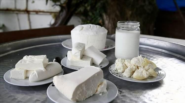 <p>Kahvaltı sofralarının olmazsa olmazı beyaz peynir, yalnızca lezzetiyle değil, sağlığa olan etkileriyle de dikkat çekiyor. Japonya’da gerçekleştirilen yeni bir bilimsel araştırma, peynir tüketimiyle beyin sağlığı arasında çarpıcı bir bağlantı olduğunu gösterdi.</p>