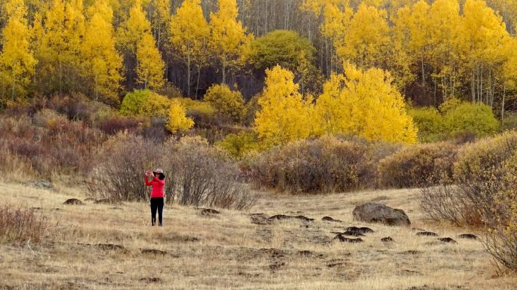<p><strong>Türkiye'nin en yüksek yerleşim yerlerinden Kars'ın Sarıkamış ilçesinde sonbaharın son güzellikleri göz kamaştırdı. Yılın yarısı kar altında kalan ilçenin 2 bin 380 rakımlı Handere ve Karaurgan bölgesi, şimdilerde güz esintileriyle sarı, kahverengi ve kızıl renge büründü. </strong></p>