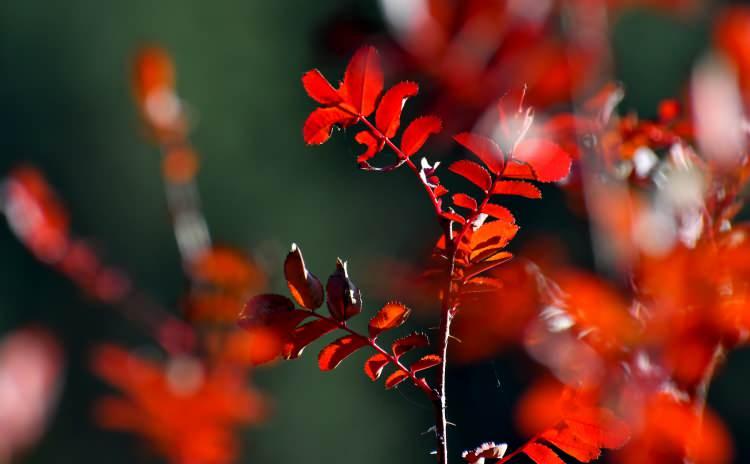 <p><span style="color:#0000CD"><em><strong>İşte, o görüntüler...</strong></em></span></p>
