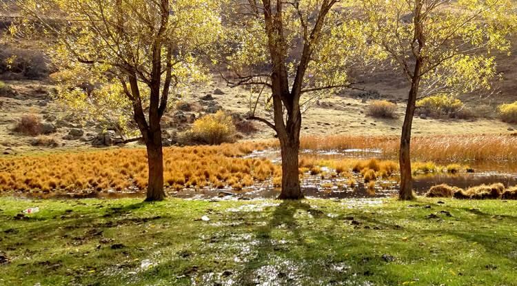 <p><span style="color:#B22222"><em><strong>Sonbahar ve kış turizminin en gözde rotalarından biri olarak nam salan Kars'ın Sarıkamış ilçesi, sonbaharın eşsiz renklerine büründü. Sarı, kahverengi ve kızılın görsel bir şölen oluşturduğu bölgeden kareler, görenleri mest etti.</strong></em></span></p>