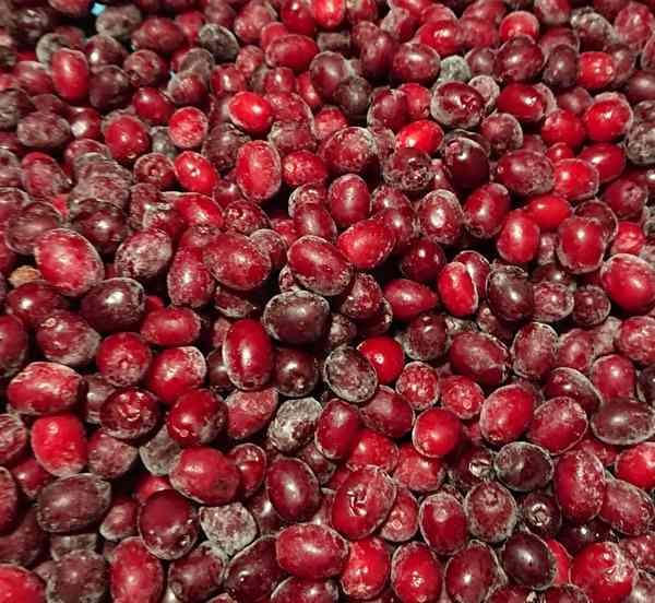 <p>Yüksek C vitamini içeriğiyle bağışıklığı güçlendiren kızılcık, hem soğuk algınlığına karşı koruyucu etkisi hem de doğal şifa kaynağı olmasıyla biliniyor. </p>