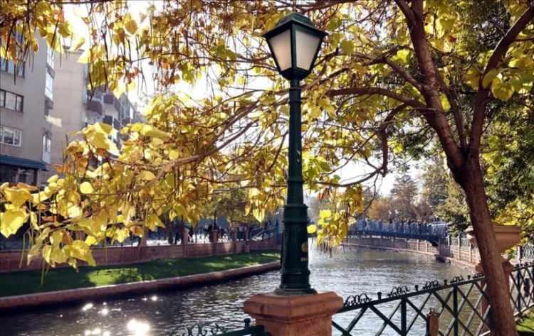 <p>Eskişehir yüzde 7,81 ile dördüncü sırada yer alıyor.</p>
<p> </p>