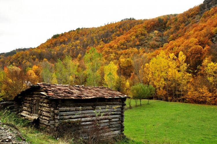 <p><span style="color:#B22222"><strong>İşte Türkiye’nin sonbaharda keşfedilmeye değer 12 rotası…</strong></span></p>