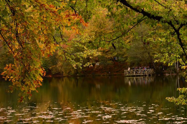 <p><span style="color:#B22222"><strong>YEDİGÖLLER </strong></span></p>
