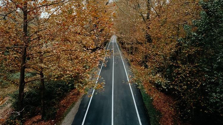 <p><span style="color:#B22222"><strong>SAFRANBOLU</strong></span></p>
