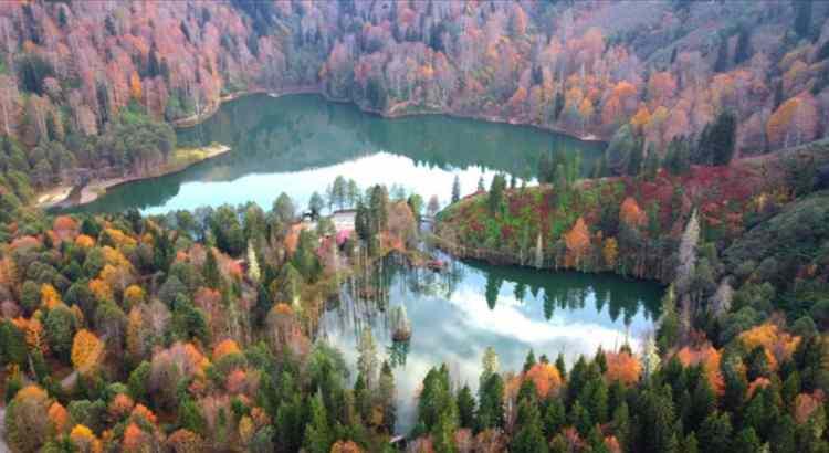 <p><span style="color:#B22222"><strong>ARTVİN </strong></span></p>
