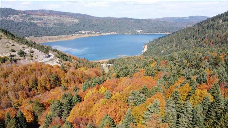 <p><span style="color:#B22222"><strong>ABANT GÖLÜ</strong></span></p>
