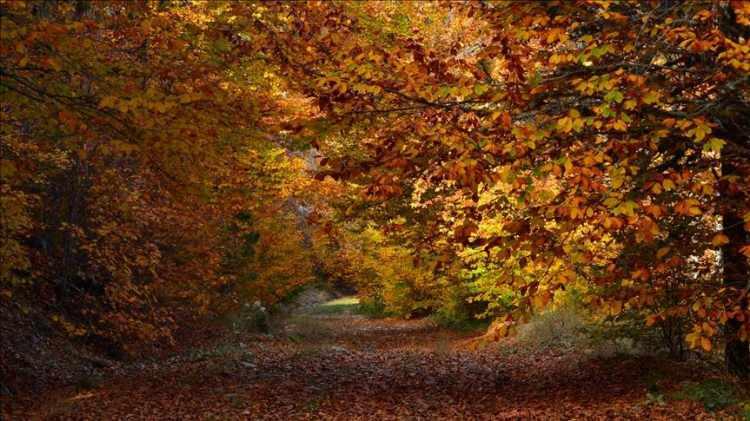 <p><span style="color:#B22222"><strong>MANİSA </strong></span></p>

<p> </p>

<p>"Yanık Ülke"</p>
