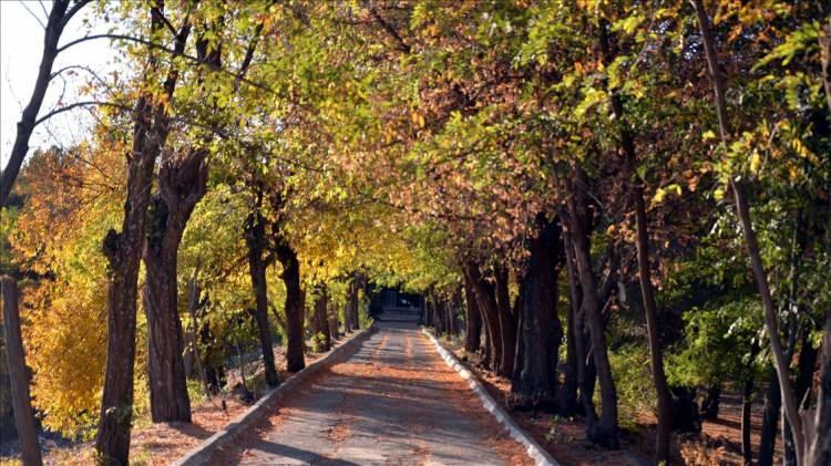 <p><span style="color:#B22222"><strong>MUŞ </strong></span></p>
