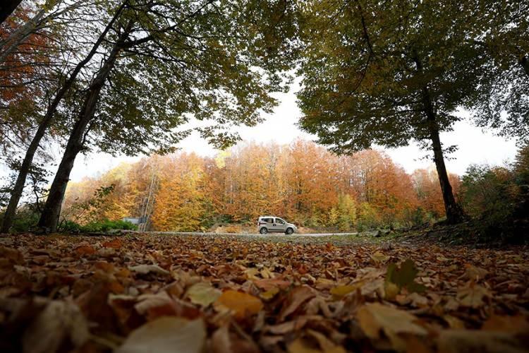 <p><span style="color:#B22222"><strong>TRAKYA</strong></span></p>
