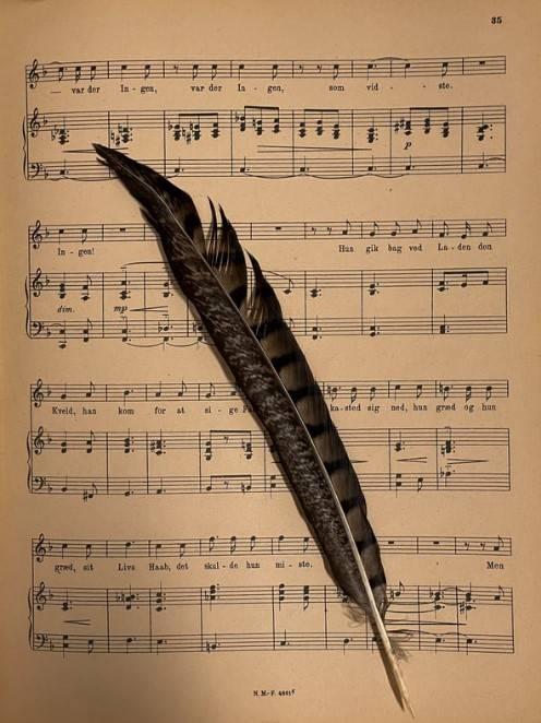 <p>Binlerce yıl boyunca müzik, sözlü olarak nesilden nesile aktarıldı. Yazıya dökülmüş en eski müzik örneği ise yaklaşık 3.400 yıl öncesine dayanıyor. Ancak Hurri uygarlığı sayesinde insanlık, tarih sahnesine kaydedilmiş ilk “tam şarkı”ya ulaşmayı başardı.</p>
