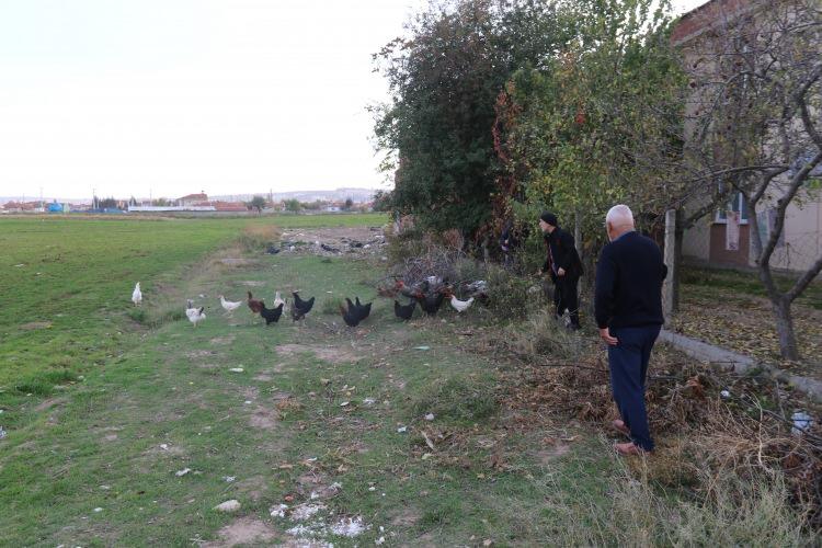 <p>MAHALLELİ HAYVANLARININ BAŞINDA NÖBET TUTUYOR</p>
