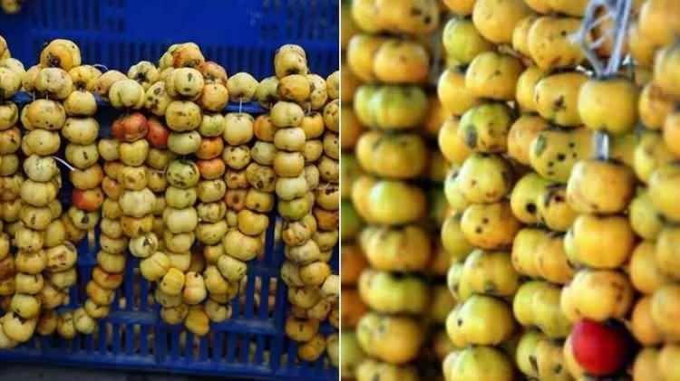 Dağlardan sofralara: Şifa deposu alıçta hasat başladı! Faydaları say say bitmiyor