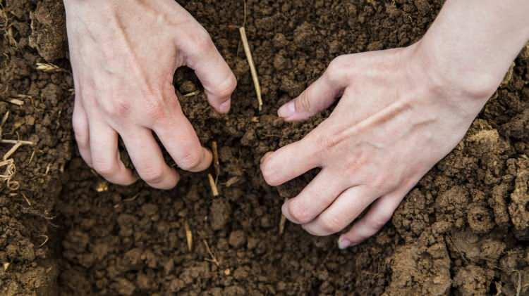 <p><strong>Müzayede evine göre; 1930'larda zengin bir koleksiyoner Nazilerin işgalinin yaklaşmasıyla servetini korunaklı bir şekilde saklama kararı aldı ve topladığı madeni paraları küçük kağıt torbalara, ardından da puro kutulara ve son olarak metal kutulara koyarak evinin bahçesine gömdü.</strong></p>
