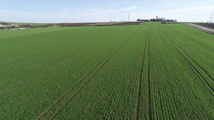 <p>Konut fiyatlarında yaşanan yükselişler “kendi evini kendin yap” ihtiyacını arttırıyor. </p>

<p> </p>
