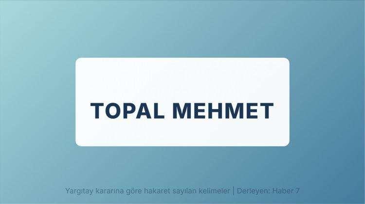 <p><span style="color:#B22222"><strong>TOPAL MEHMET</strong></span></p>
