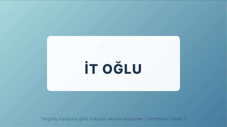 <p><span style="color:#B22222"><strong>İT OĞLU</strong></span></p>

