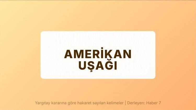 <p><span style="color:#B22222"><strong>AMERİKAN UŞAĞI</strong></span></p>

