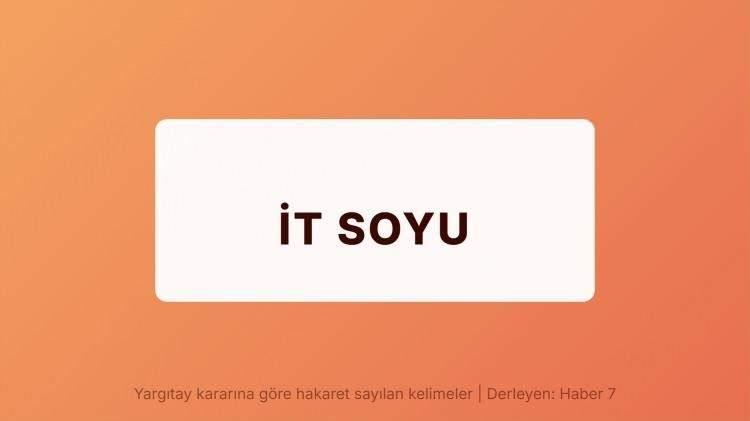 <p><span style="color:#B22222"><strong>İT SOYLU</strong></span></p>
