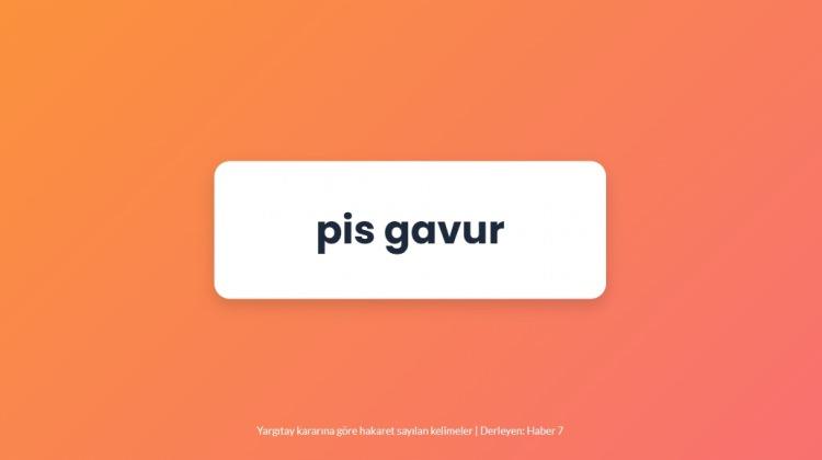 <p><span style="color:#B22222"><strong>PİS GAVUR</strong></span></p>
