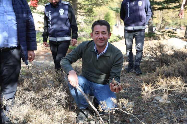 <p>Başkanlar, yöre sakinleriyle birlikte ormanda ellerinde çubuklarla mantar aradı. </p>
