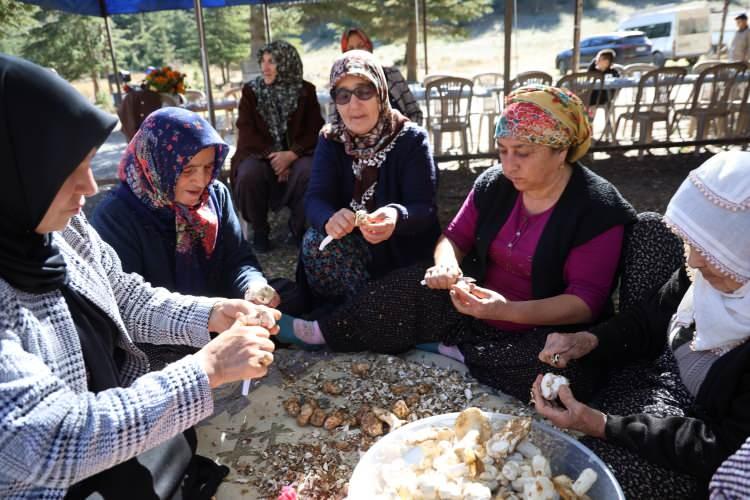 <p>Bulunan mantarları şenlik havasında geçen etkinlikte yöre sakinleri, <strong><em>'katran böreği'</em></strong> ve<strong> 'mantar közlemesi'</strong> yaparak ikram etti. </p>
