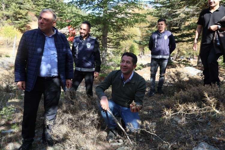 <p><span style="color:#A52A2A"><strong>35 TON MANTAR İHRAÇ EDİLDİ </strong></span></p>

<p> </p>

<p>Bölgede aynı zamanda mantarın yurt dışına açılmasında öncü olan AK Parti Feke İlçe Başkanı Vahit Todil, yağışların bol olduğu dönemlerde <span style="color:#A52A2A"><strong><em>35 ton sedir mantarının ihraç edildiğine dikkat çekti.</em></strong></span></p>

<p> </p>

<p>Todil, <strong>"İlçeye yıllık 15 milyon liralık para girişi sağlanıyor. Japonya'ya taze, Çin ve Güney Kore'ye dondurulmuş olarak gönderiliyor. Şu anda 500-600 liradan alımlar var, yağışlar devam ederse bu yıl da beklenti yüksek."</strong> şeklinde konuştu.</p>
