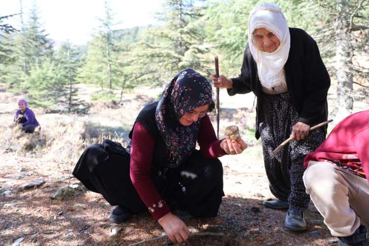 <p><span style="color:#A52A2A"><strong>"BEYAZ ALTIN" OLARAK BİLİNİYOR </strong></span></p>

<p> </p>

<p>Bölgeki yöre sakinlerinin "beyaz altın" olarak dillendirdiği sedir mantarı bu sene de yağışlarla birlikte çıkmaya başladı. </p>
