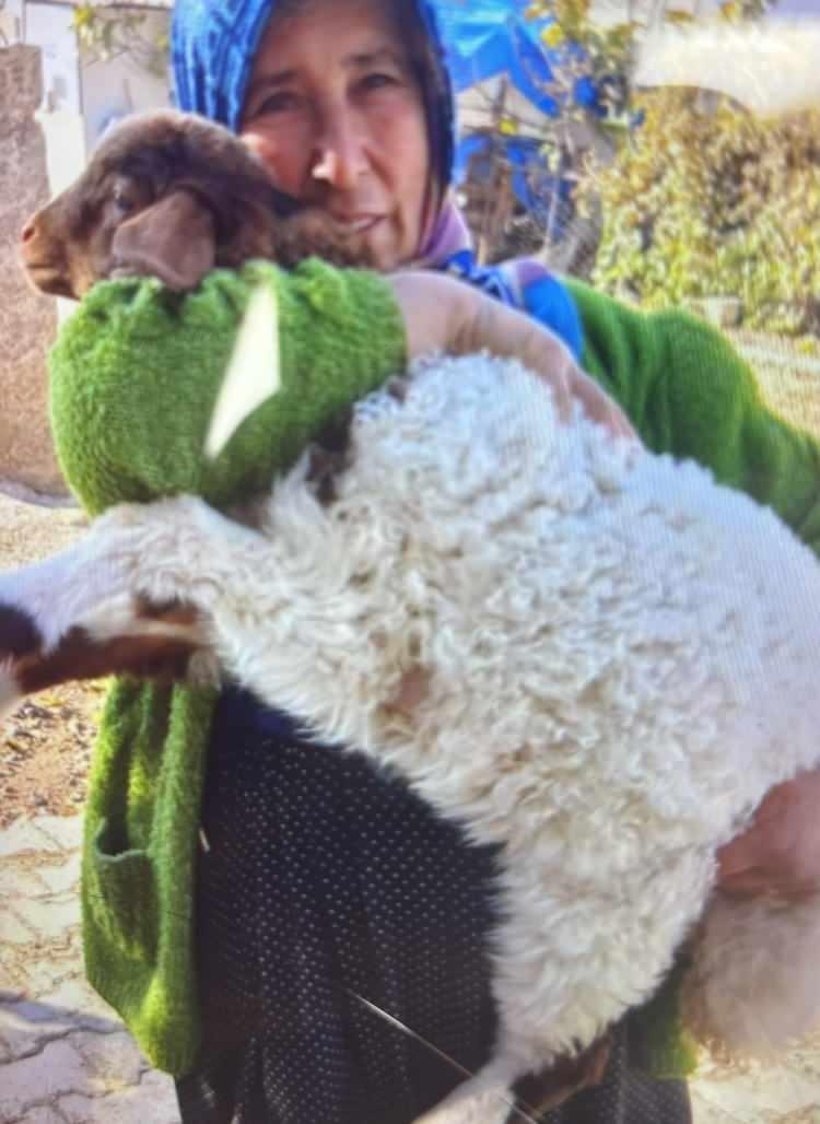 <p>Kazayla ilgili soruşturma devam ediyor.</p>
