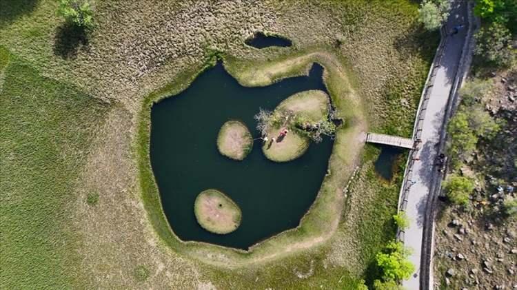 <p><span style="color:#B22222"><strong>17. BİNGÖL -</strong></span></p>

<p> </p>

<p>Yüzen Ada (Turnalar Gölü)</p>
