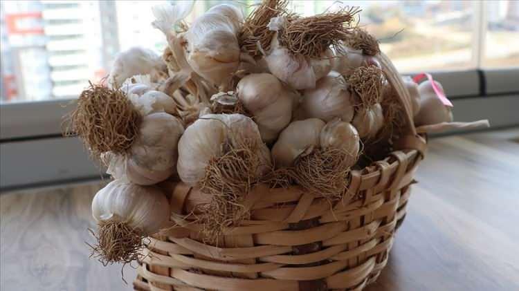 <p><span style="color:#B22222"><strong>46. KASTAMONU -</strong></span></p>

<p> </p>

<p>Taşköprü Sarımsağı</p>
