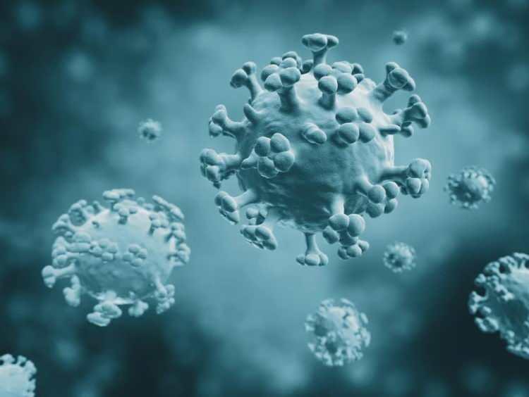 <p>Dünya Sağlık Örgütü (DSÖ) verilerine göre her yıl dünya genelinde 1 milyar insan grip oluyor, bunların 3 ila 5 milyonu ağır hastalık tablosuna dönüşüyor ve yaklaşık 290 bin–650 bin kişi hayatını kaybediyor.</p>
