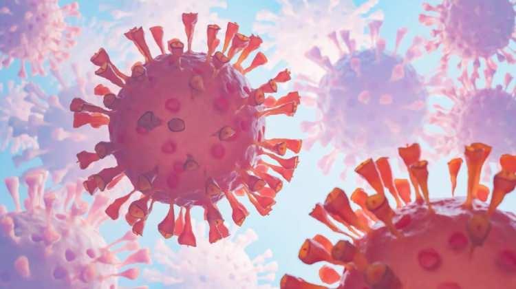 <p><span style="color:#B22222"><strong>GRİP AŞISI NE ZAMAN YAPILMALI?</strong></span></p>
