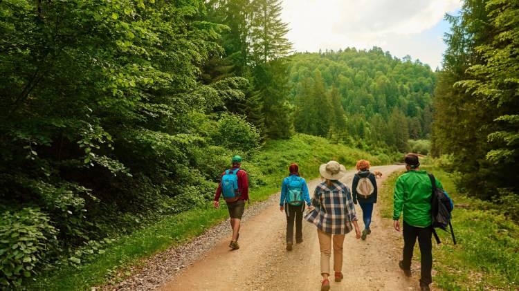 <p><strong>"Dünyanın En Güzel Yürüyüş Rotası" seçilen "Likya Yolu", antik kentleri, ormanları ve koylarıyla göz kamaştıran bir doğa harikasını gözler önüne seriyor.</strong></p>

