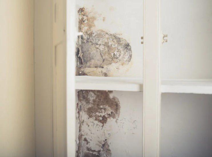 <p><span style="color:#000000"><strong>UKRAYNALILARIN SIR GİBİ SAKLADIĞI  YÖNTEM</strong></span></p>

<p>Rutubetle mücadelede çeşitli yöntemler önerilse de, Ukraynalıların sıkça başvurduğu doğal bir çözüm gündem oldu. </p>
