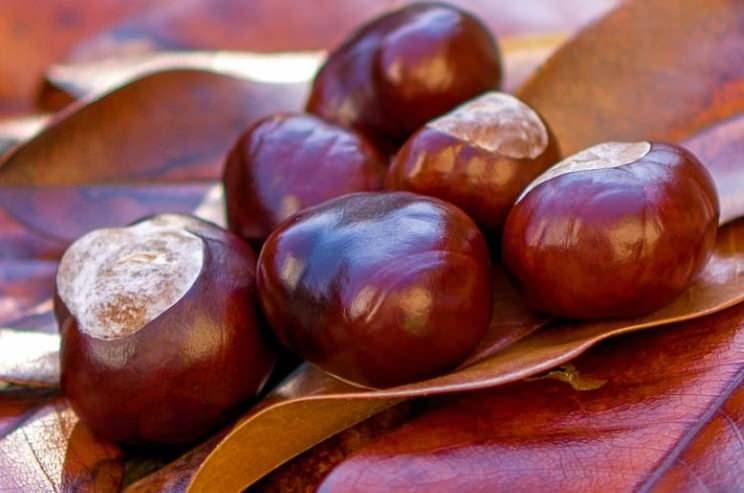 <p>Sosyal medyada gündem olan bu yöntem sayesinde birçok kullanıcı nem sorunun ortadan kaldığına dikkat çekiyor. </p>
