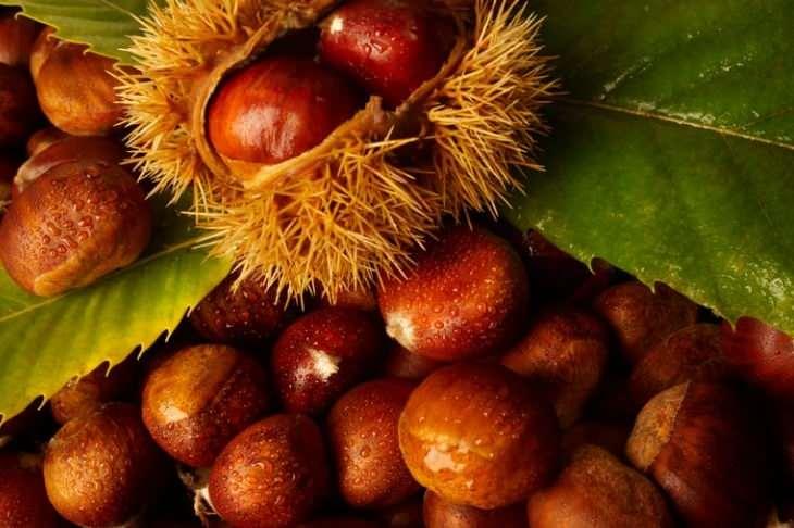 <p><span style="color:#000000"><strong>PÜF NOKTASI:</strong></span></p>

<p>Kullanacağınız at kestanelerin kuru olmasına dikkat edin. Ayrıca kullandığınız kestaneleri 2-3 ayda bir değiştirmeyi unutmayın. Böylece evinizdeki rutubetten kolayca kurtulmanız mümkün.</p>
