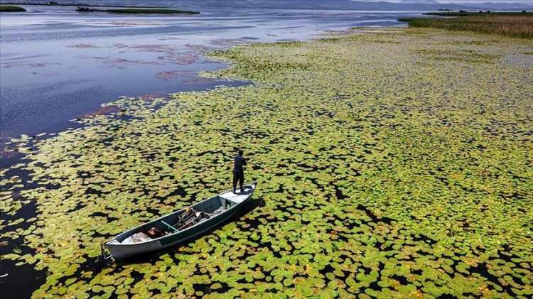 <p><strong>Konya </strong>– Beyşehir / Eskil</p>

<p> </p>
