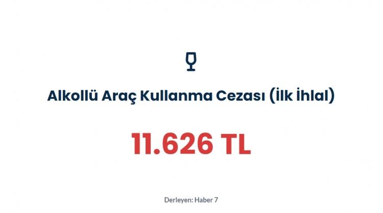 <p><span style="color:#B22222"><strong>ALKOLLÜ ARAÇ KULLANMA</strong></span></p>
