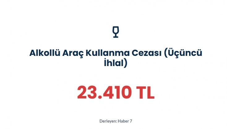 <p><span style="color:#B22222"><strong>ALKOLLÜ ARAÇ KULLANMA | ÜÇÜNCÜ İHLAL</strong></span></p>
