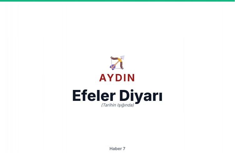 <p><span style="color:#B22222"><strong>AYDIN</strong></span></p>
