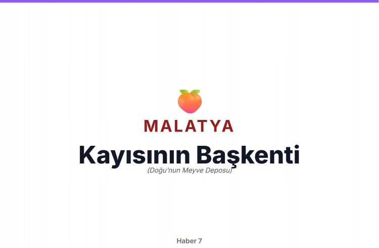 <p><span style="color:#B22222"><strong>MALATYA</strong></span></p>
