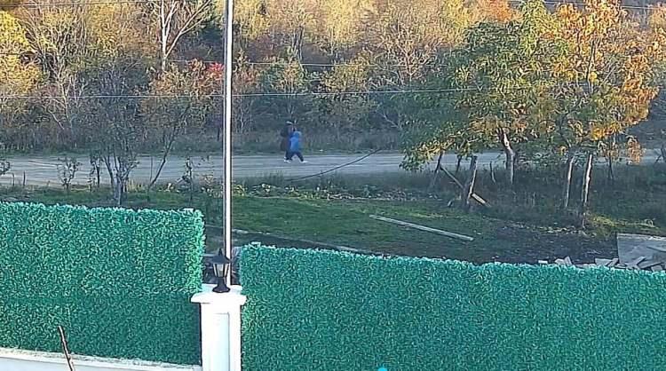 <p>Kastamonu'nun Bozkurt ilçesinde 2 Kasım Pazar günü evlerinden ayrıldıktan sonra bir daha haber alınamayan 43 yaşındaki Huriye Helvacı ve 5 yaşındaki oğlu Osman Helvacı'yı bulmak için başlatılan arama çalışmaları aralıksız sürüyor.</p>
