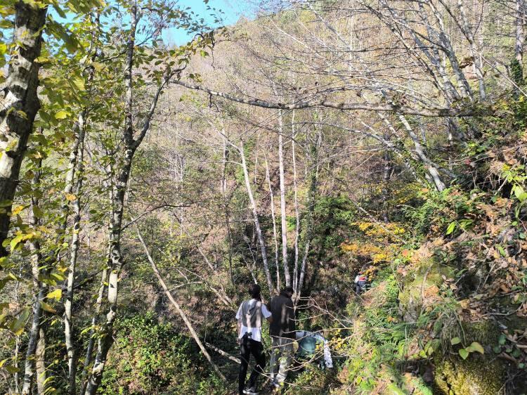 <p><span style="color:#A52A2A"><strong>KUZGUNLAR HURİYE HELVACI'NIN CESEDİNE GÖTÜRDÜ</strong></span></p> <p> </p> <p>Havada gördükleri kuzgun kuşlarını takip ederek ormanlık alanda kayıp kadının cansız bedenine ulaştıklarını anlatan Çelik,<strong> "Bu sırada havada 2-3 tane kuzgun kuşu gördük. Hatta kuzgun kuşları bulunduğu yere doğru indi, sonra tekrar havalandı. Biz de arkadaşlarımızla konuşuyorduk, 'Kuzgunun bu olayla bir ilgisi vardır' dedik. Kuzgun kuşunun cesede geleceğini, leş yediğini biliyorduk.<span style="color:#A52A2A"> Biz de kuzgun kuşunun dolaştığı alana bakalım dedik. Yanımızda arama kurtarma ekipleri de bulunuyordu.</span> Hemen oturduğumuz yerin yaklaşık 100 metre yukarısında kuşların uçtuğu yere bakındık. Kadının cesedinin orada olduğunu gördük. Ben kadını olay yerinde gördüm, ardından ekiplere haber verdik. Daha sonra bizi olay yerinden uzaklaştırdılar. Emniyet güçleri geldi sonrasında"</strong> şeklinde konuştu.</p> 