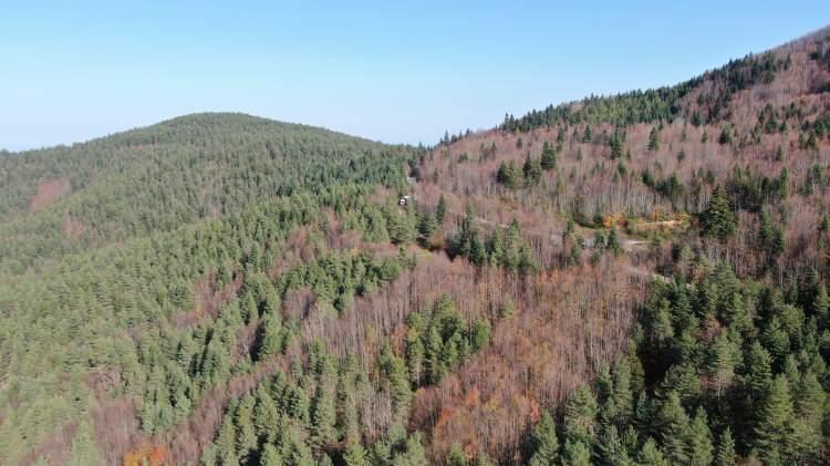 <p><strong>O derenin kenarında pek insan bulunmaz. Olay yerine çok nadir insan iner diye düşünüyorum, çünkü cenazeler çok tenha bir noktada bulundu."</strong></p> 