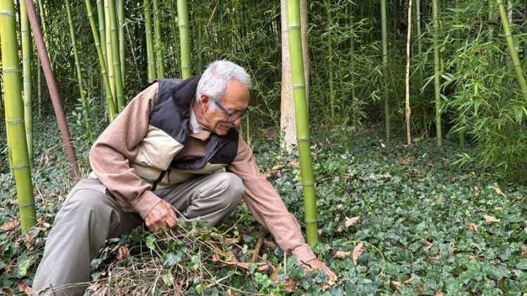 <p>“Doğru bitkiyle, doğru emek birleştiğinde güzel kazançlar elde etmek mümkün. Benim hikayem bunun bir örneği” dedi.</p>
