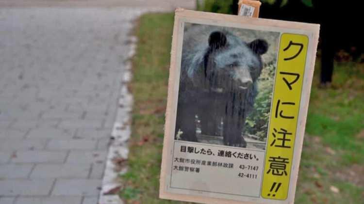 <p><span style="color:#B22222"><strong>ATEŞ ETME YETKİSİ VERİLDİ</strong></span></p>

<p>Ulusal Polis Ajansı (NPA), ülkede artan saldırılarıyla mücadele amacıyla ayıların avlanması sürecinde polislerin tüfekle ateş açmasına izin verdi.</p>
