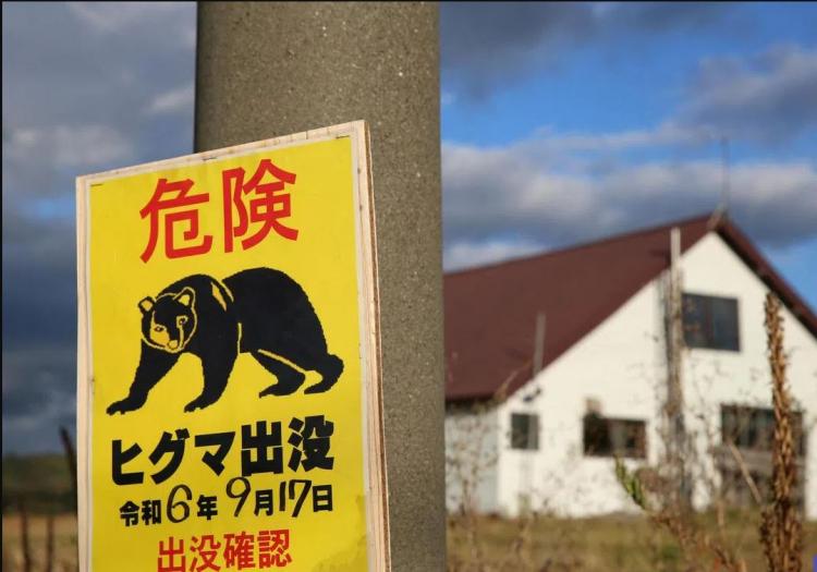 <p>Bakanlar Kurulu da ayı saldırılarına yönelik alınacak önlemlerin acil olduğunu ve kesinlikte ertelenemeyeceğini duyurmuştu.</p>
