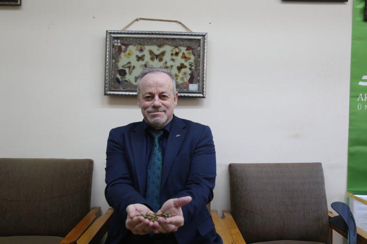 <p><span style="color:#B22222"><strong>3 aşamalı mücadele önerisi</strong></span></p>

<p>Mücadelede üç temel yöntemin öne çıktığına dikkat çeken Göktürk, "Biyoteknik (feromon tuzakları), biyolojik (samuray arıları) ve kimyasal (kışlak ilaçlaması). Ancak zamanlama çok önemli. Feromon tuzakları mayıs-haziran ve eylül-ekim aylarında, samuray arıları temmuz-ağustos döneminde kullanılmalı. Kimyasal mücadele ise asla tarlada değil, böceğin kışı geçirdiği çatı, ahır gibi kışlak alanlarda yapılmalı. Kışa yaklaşırken bu bölgelerde ruhsatlı gaz ilaçlarla toplu imha sağlanabilir. Bir kokarcanın yılda 300-400 yumurta bıraktığı ve iki jenerasyon verdiği düşünüldüğünde, bir yıl sonunda 45 bin bireye ulaşabiliyor. Bu nedenle mücadele köy veya bölge bazında değil, tüm Türkiye'de eş zamanlı olarak yapılmalı. Benim önerim, Tarım Bakanlığı önderliğinde, valilikler, kaymakamlıklar, tarım müdürlükleri, fakülteler, sivil toplum kuruluşları ve çiftçilerin yer aldığı bir ‘Kahverengi Kokarca Mücadele Komisyonu' kurulmasıdır. Zamanında yapılmayan mücadele, mücadele değildir. Bu nedenle topyekûn, planlı ve ulusal bir seferberlik şarttır" uyarısında bulundu.</p>
